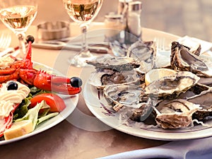 Fresh oysters served on a table in summer restaurant with lemon and lobster garnished with freshly made mayonnaise