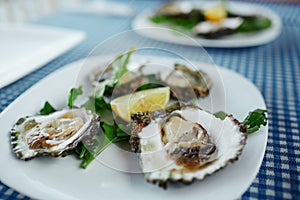 Fresh oysters on a white plate with green salad and lemon on a blue tablecloth