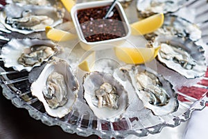 Fresh oysters in a white plate with ice and lemon