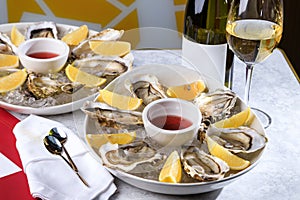 Fresh oysters in a white plate with ice and lemon. Open Oysters and glass of white wine. Tasty Oysters On Ice