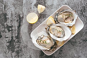 Fresh oysters in a white plate with ice and lemon on a wooden de