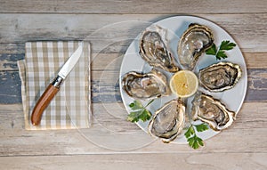 Fresh oysters white plate and lemon on wooden desk