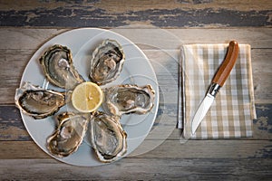 Fresh oysters white plate and lemon on wooden desk