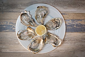 Fresh oysters white plate and lemon on wooden desk