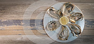 Fresh oysters white plate and lemon on wooden desk