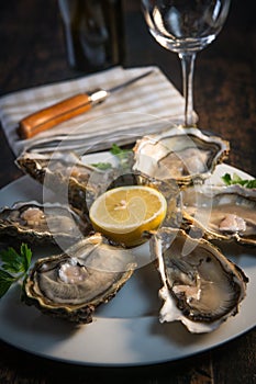 Fresh oysters white plate and lemon on wooden desk