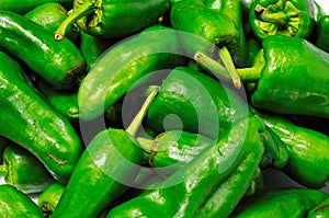 Fresh padron peppers. photo