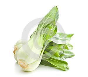 Fresh pak choi cabbage.