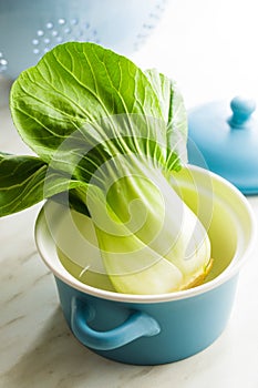 Fresh pak choi cabbage.