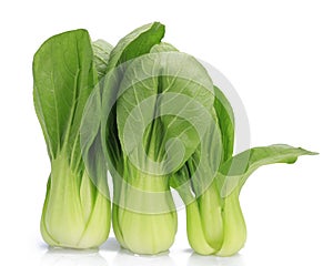 Fresh pak choi cabbage