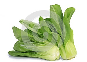 Fresh pak choi cabbage