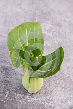 A fresh pak choi vegetable on a grey structured background