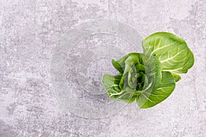 A fresh pak choi vegetable on a grey structured background