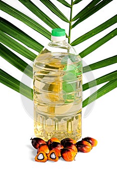 Fresh Palm Oil seeds and cooking oil with leaf