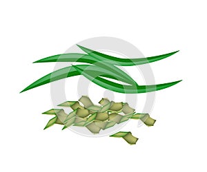 Fresh Pandan Leaves on A White Background