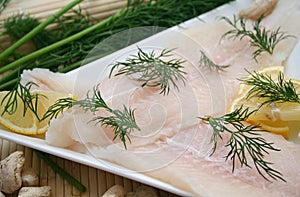 Fresh pangasius fish