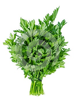 Fresh parsley