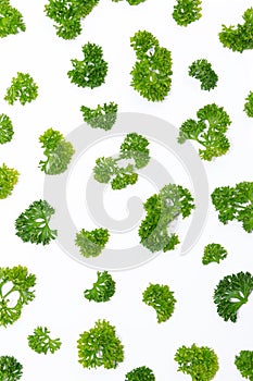 Fresh parsley arranged in a pattern isolated on white background