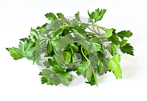 Fresh parsley photo