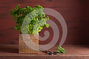 Fresh parsley herb in wooden pot