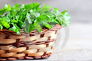 Fresh parsley leaves in a basket. Dietary source of antioxidants, folic acid, vitamin K, vitamin C and vitamin A