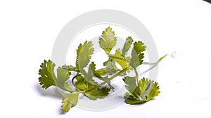 Fresh parsley leaves, Herbs vegetables images