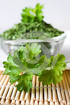 Fresh Parsley / Petroselinum crispum