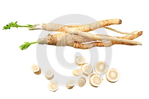 fresh parsley root isolated on white background. top view