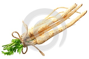 fresh parsley root isolated on white background. top view