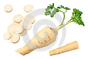 Fresh parsley root with slices isolated on white background. top view