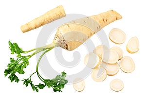 fresh parsley root with slices isolated on white background. top view