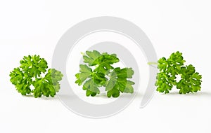 Fresh parsley sprigs