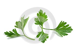 Fresh parsley sprigs