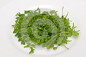 Fresh parsley on white plate