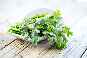 Fresh parsley on wooden table