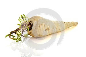 Fresh parsnip