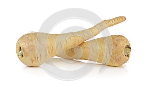 Fresh parsnip roots on white background