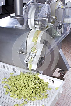 The fresh pasta industry