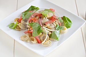 Fresh pasta salad