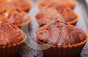 Fresh pastries, cupcakes close up picture