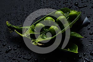 Fresh pea close-up in water drops on a black background