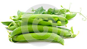 Fresh pea fruit