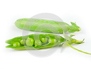 Fresh pea fruit