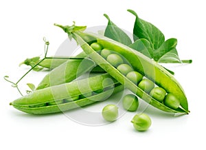 Fresh pea fruit with green leaf