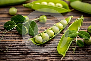 Fresh pea fruit
