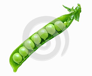 Fresh pea pod