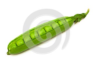 Fresh pea pod