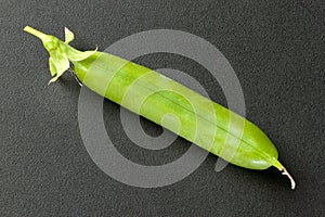 Fresh Pea Pod, Closed