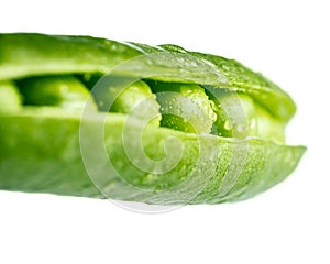 Fresh pea pod, closeup