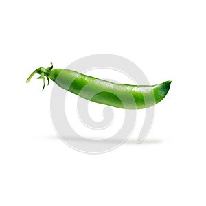 Fresh pea pod, closeup